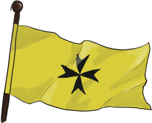 rivian flag